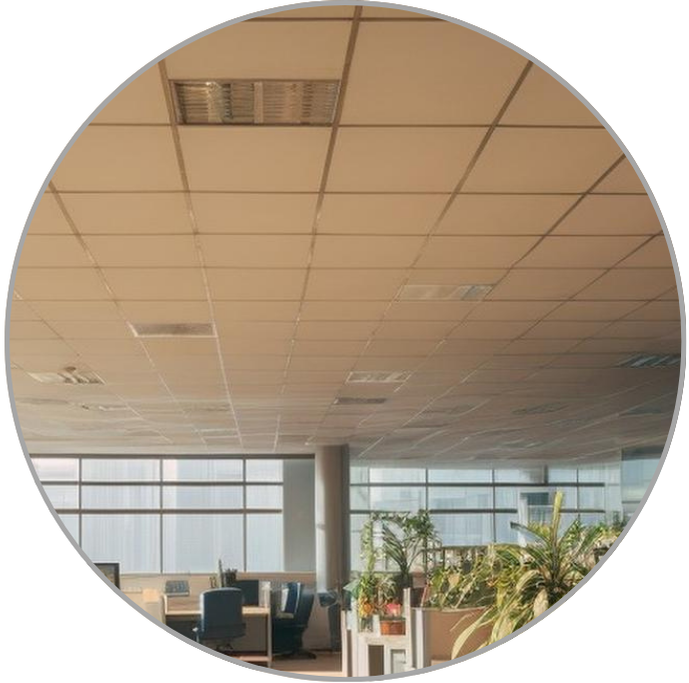 Acoustic Ceilings